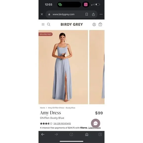 Ice blue birds grey bridesmaid dress - Picture 4 of 5